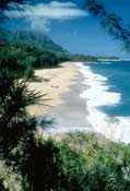 Hawaii Beach