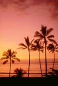 Hawaii Sunset